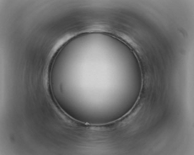 X0000114081469200910191532