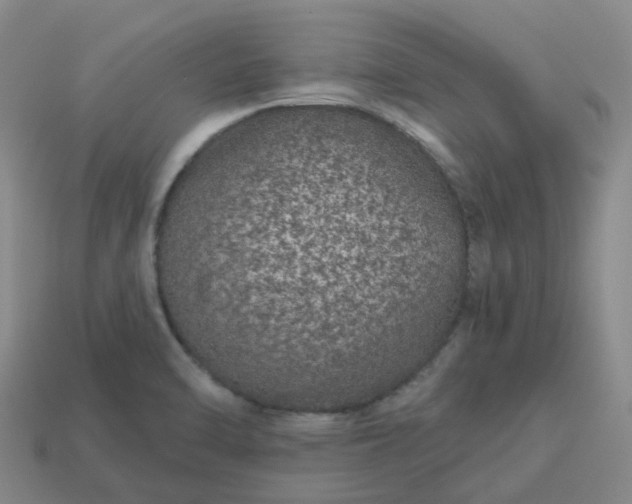 X0000114081470200910191532