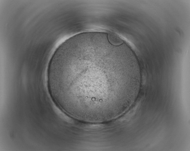 X0000114081471200910191532