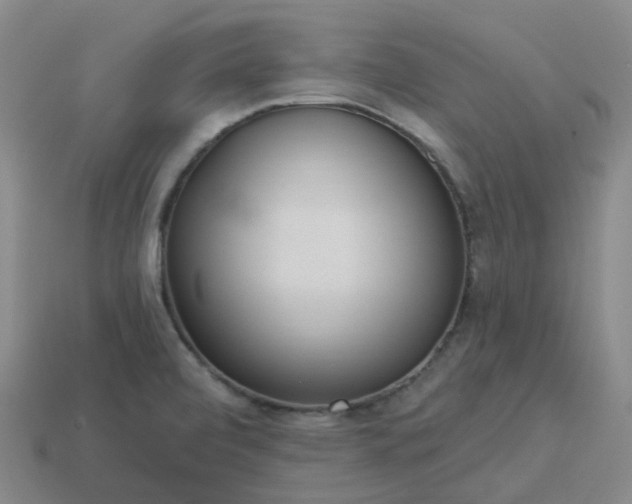 X0000114081472200910191532