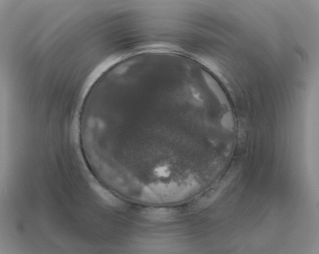 X0000114081474200910191532