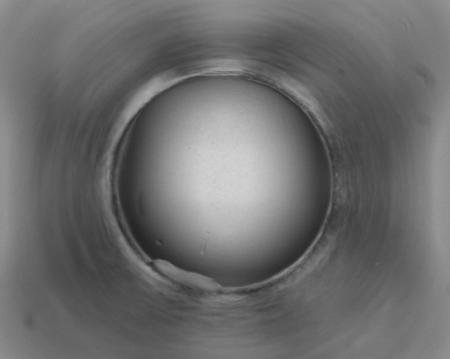 X0000114081475200910191532