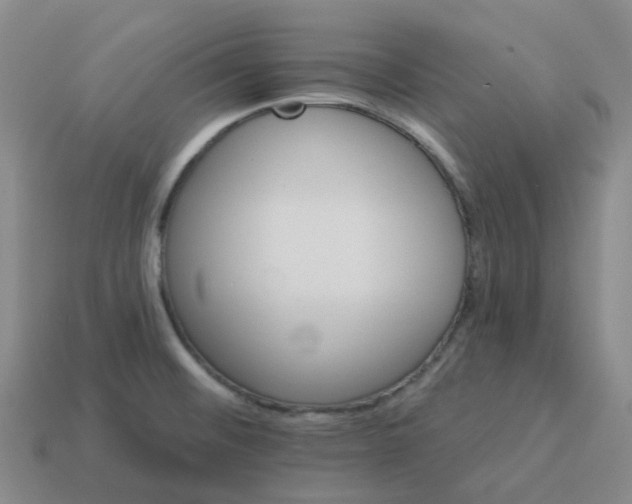 X0000114081476200910191532