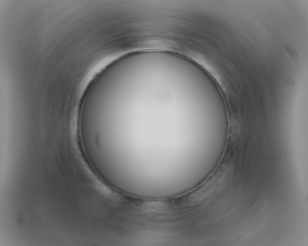 X0000114081477200910191532