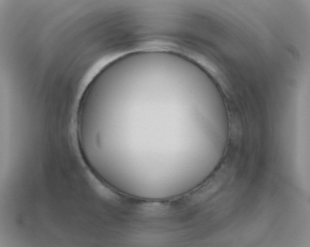 X0000114081478200910191532