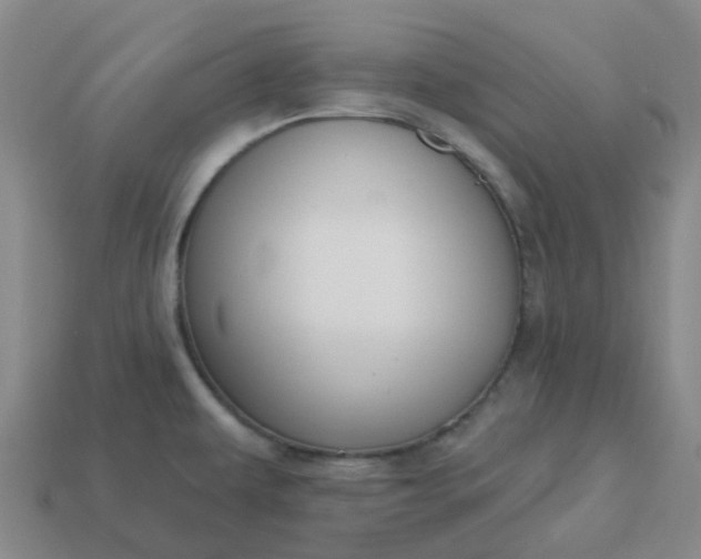 X0000114081479200910191532