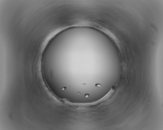 X0000114081480200910191532