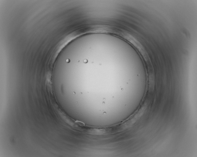 X0000114081481200910191532