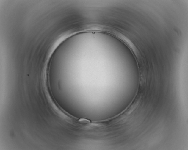 X0000114081483200910191532