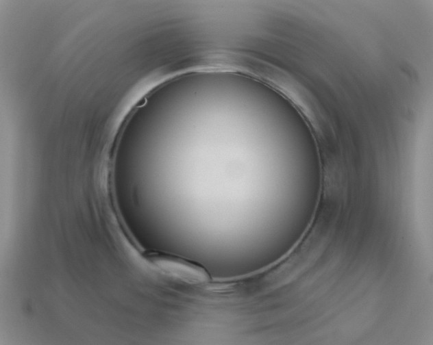 X0000114081484200910191532