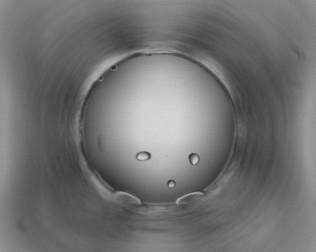 X0000114081485200910191532