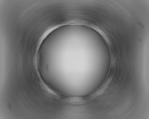 X0000114081486200910191532