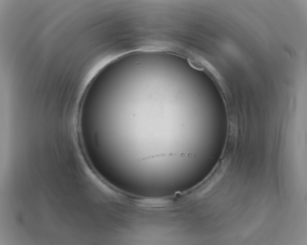 X0000114081487200910191532