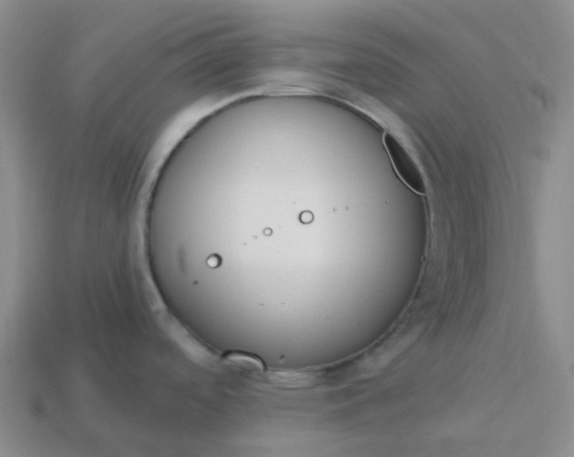 X0000114081488200910191532