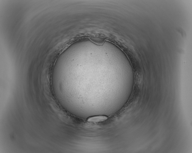 X0000114081489200910191531