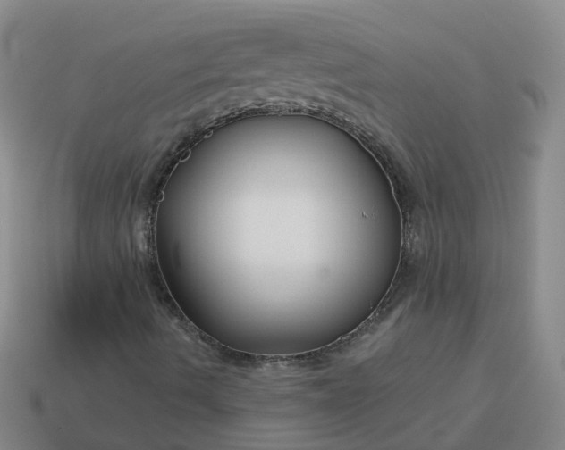 X0000114081490200910191531