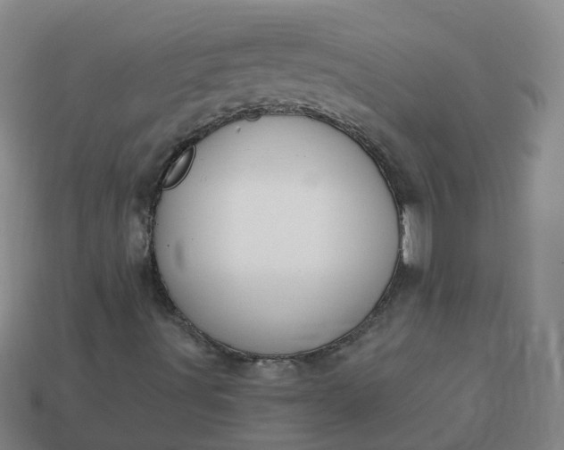 X0000114081491200910191531