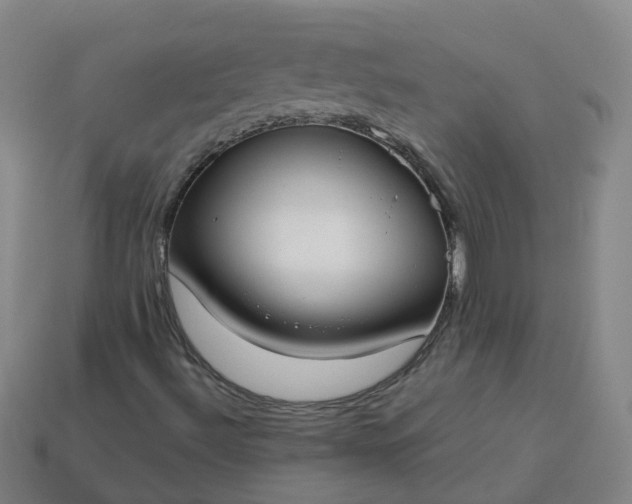 X0000114081492200910191531