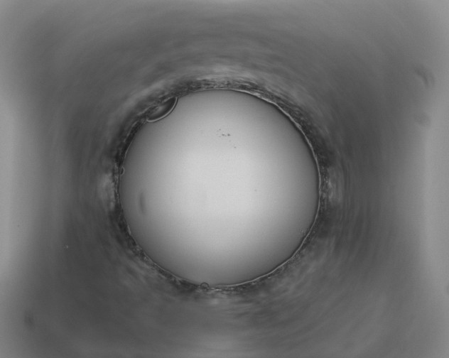 X0000114081493200910191531