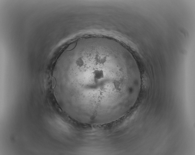 X0000114081494200910191531