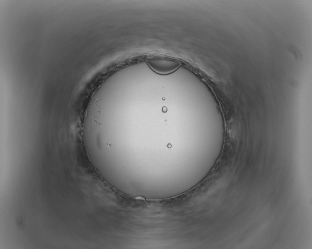 X0000114081495200910191531