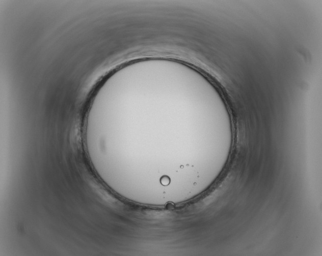 X0000114081498200910191531