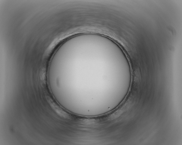 X0000114081499200910191532