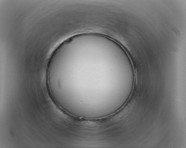 X0000114081500200910191532