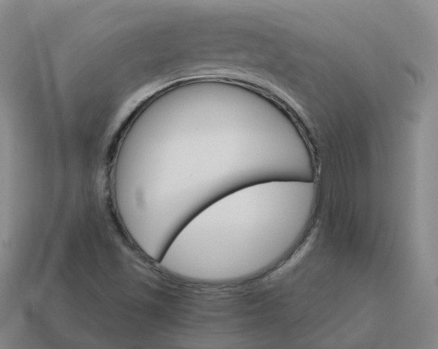 X0000114081501200910191532