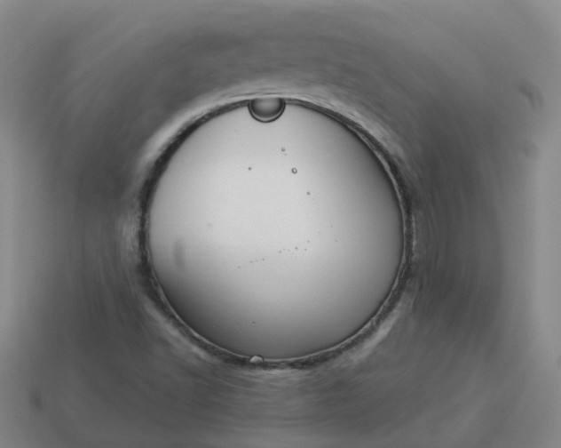 X0000114081502200910191532