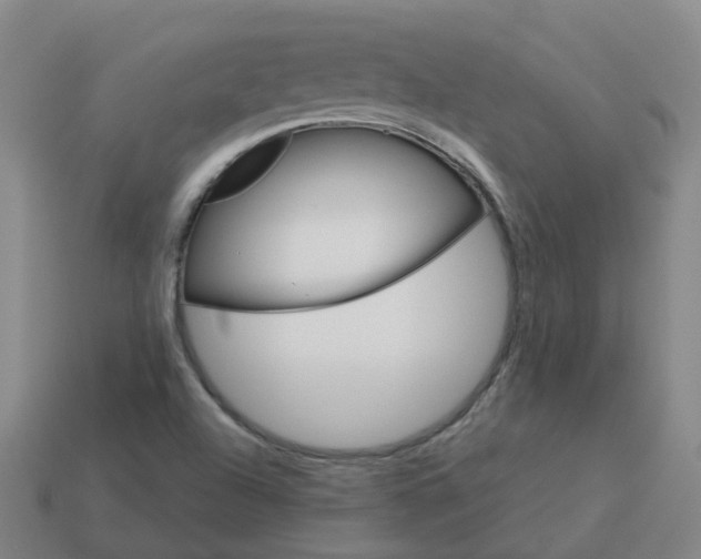 X0000114081504200910191532