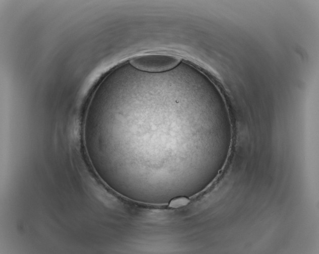 X0000114081506200910191532