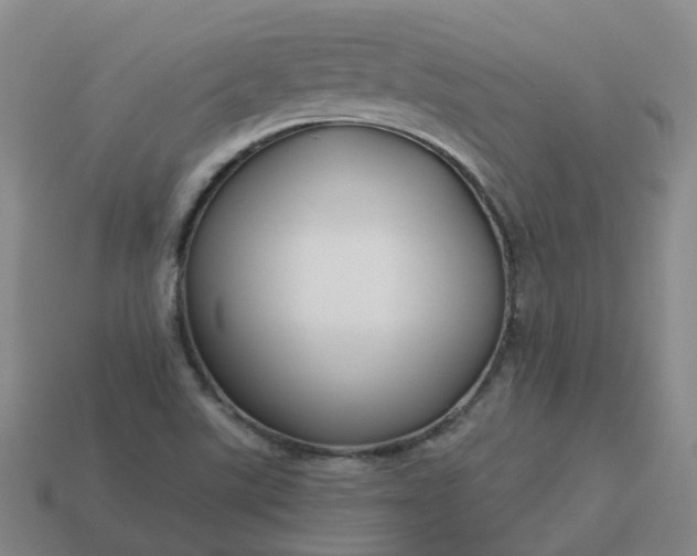 X0000114081507200910191532