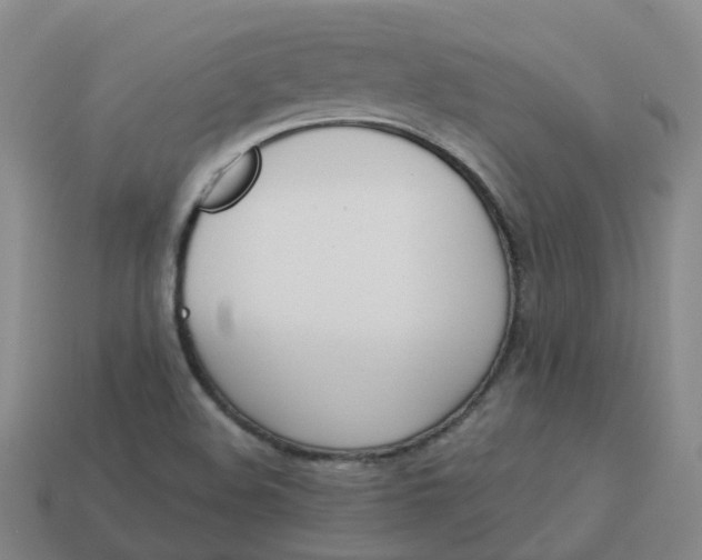 X0000114081508200910191532