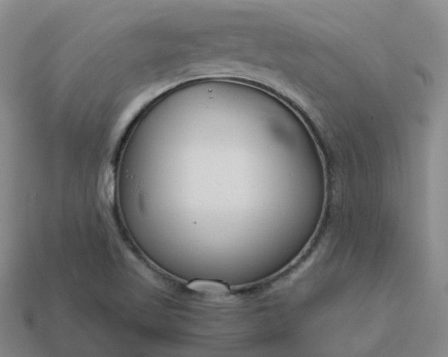 X0000114081509200910191532