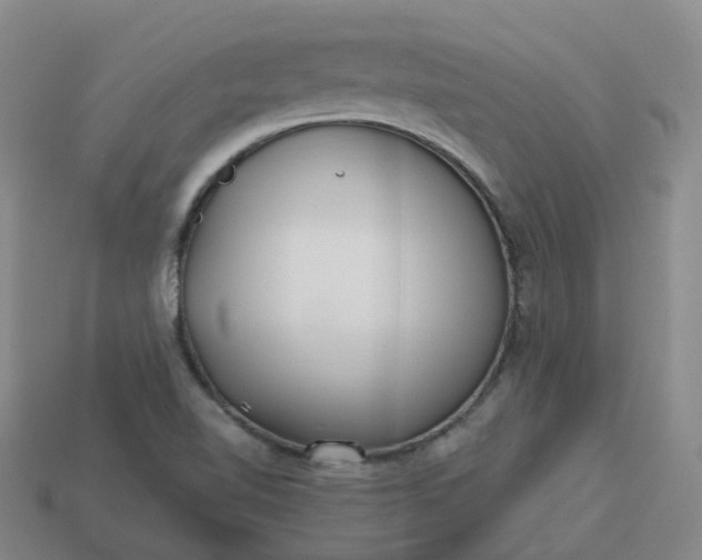 X0000114081510200910191532