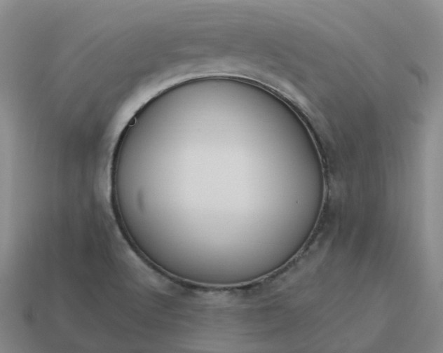 X0000114081512200910191532