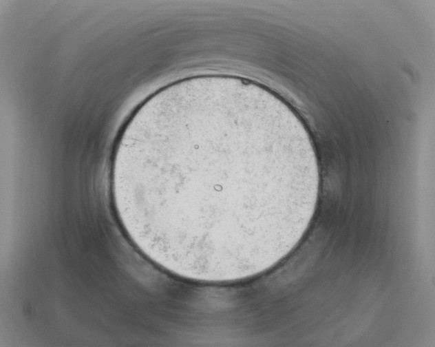 X0000114081514200910191532