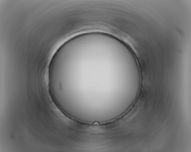 X0000114081516200910191532