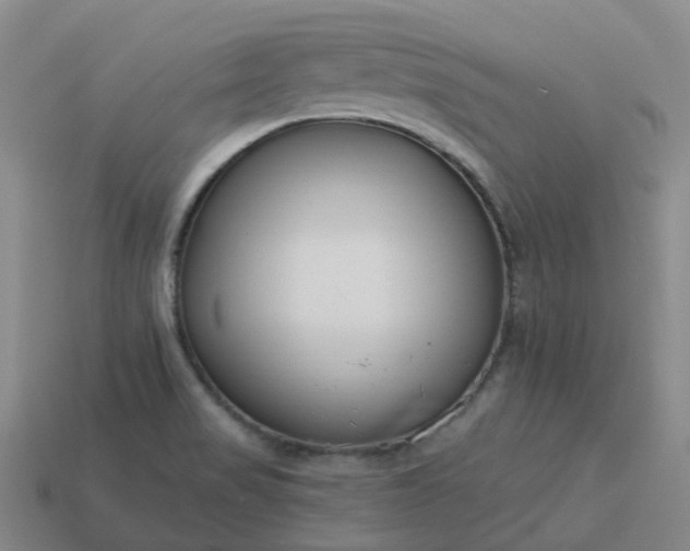 X0000114081517200910191532