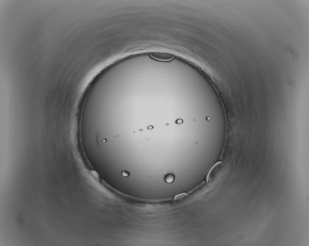 X0000114081518200910191532