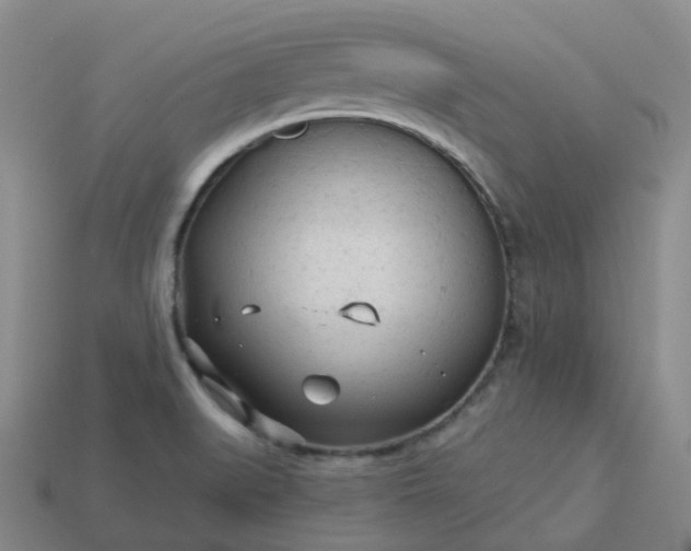 X0000114081519200910191532