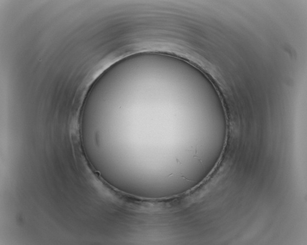 X0000114081521200910191532