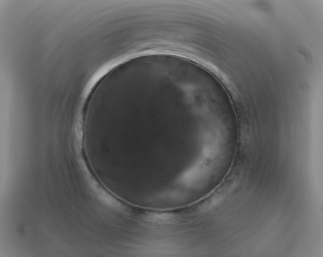 X0000114081522200910191532