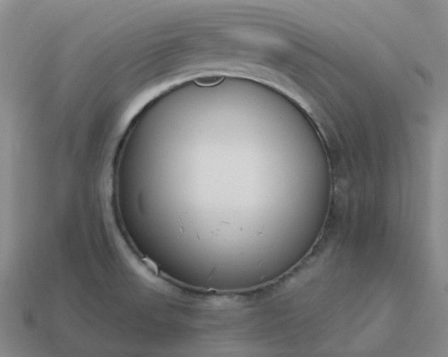 X0000114081523200910191532