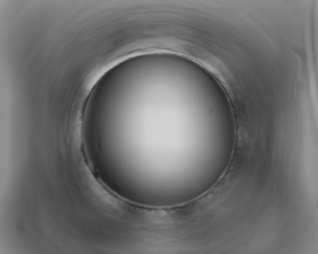 X0000114081524200910191532