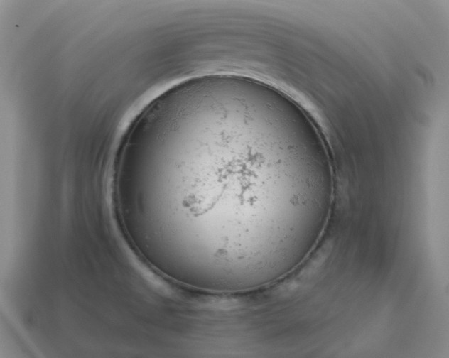 X0000114081525200910191532