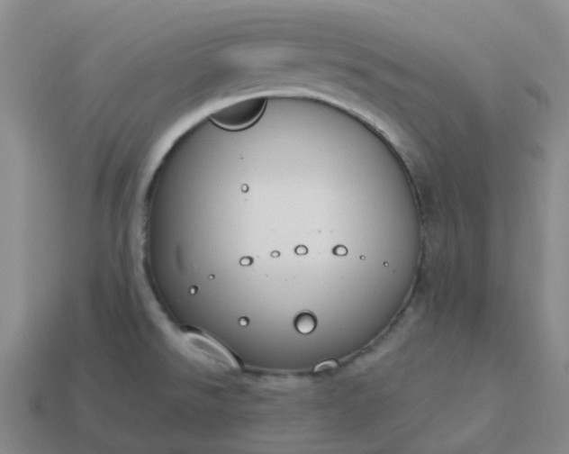 X0000114081526200910191532