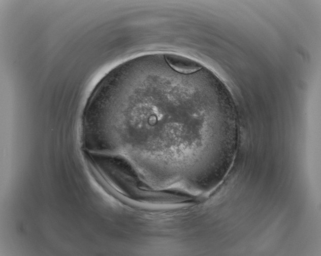 X0000114081527200910191532