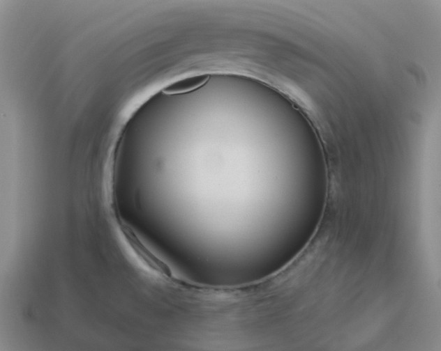 X0000114081528200910191532